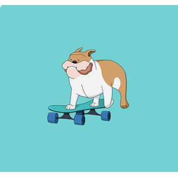 Hond op skateboard