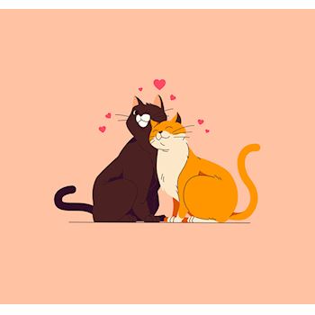 Verliefde Katten